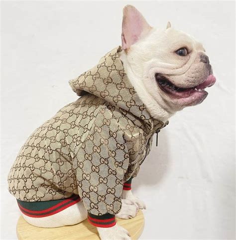 designer dog clothes gucci.